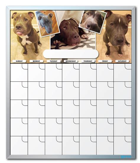 Personalized Pet Calendar