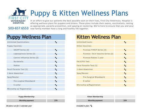 Personalized Wellness Plans for Pets