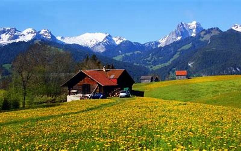 Pertanian Di Negara Swiss