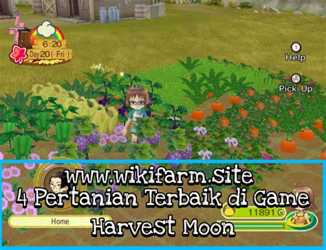 Pertanian di Harvest Moon
