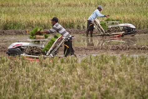 Pertanian modern di Indonesia
