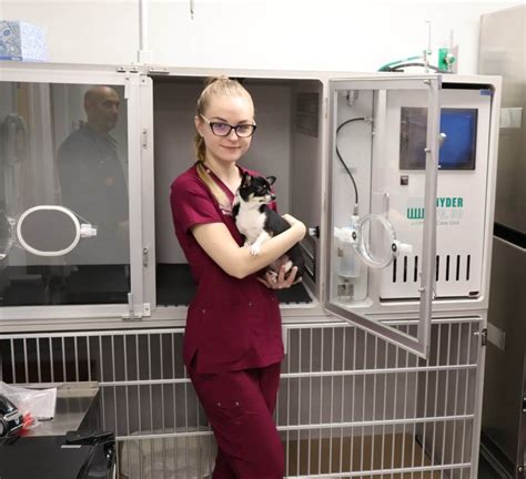 Top-rated Perth Amboy Animal Hospital: Providing Quality Care for Your Beloved Pets.