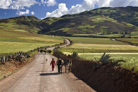 Peru countryside