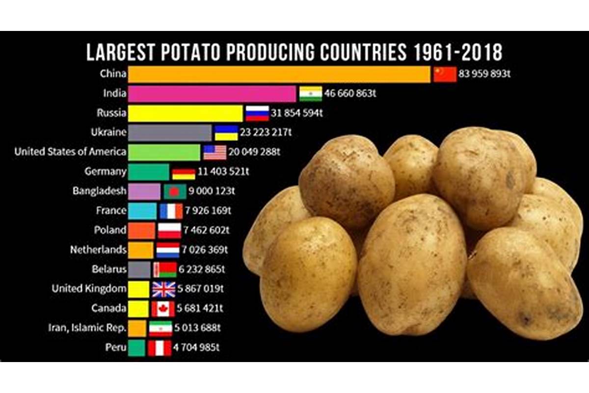 peru potato consumption