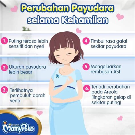 Perubahan Pada Puting Ibu