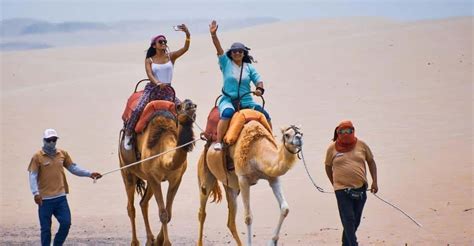 Peruvian Desert Camel Ride: A Review with Tips