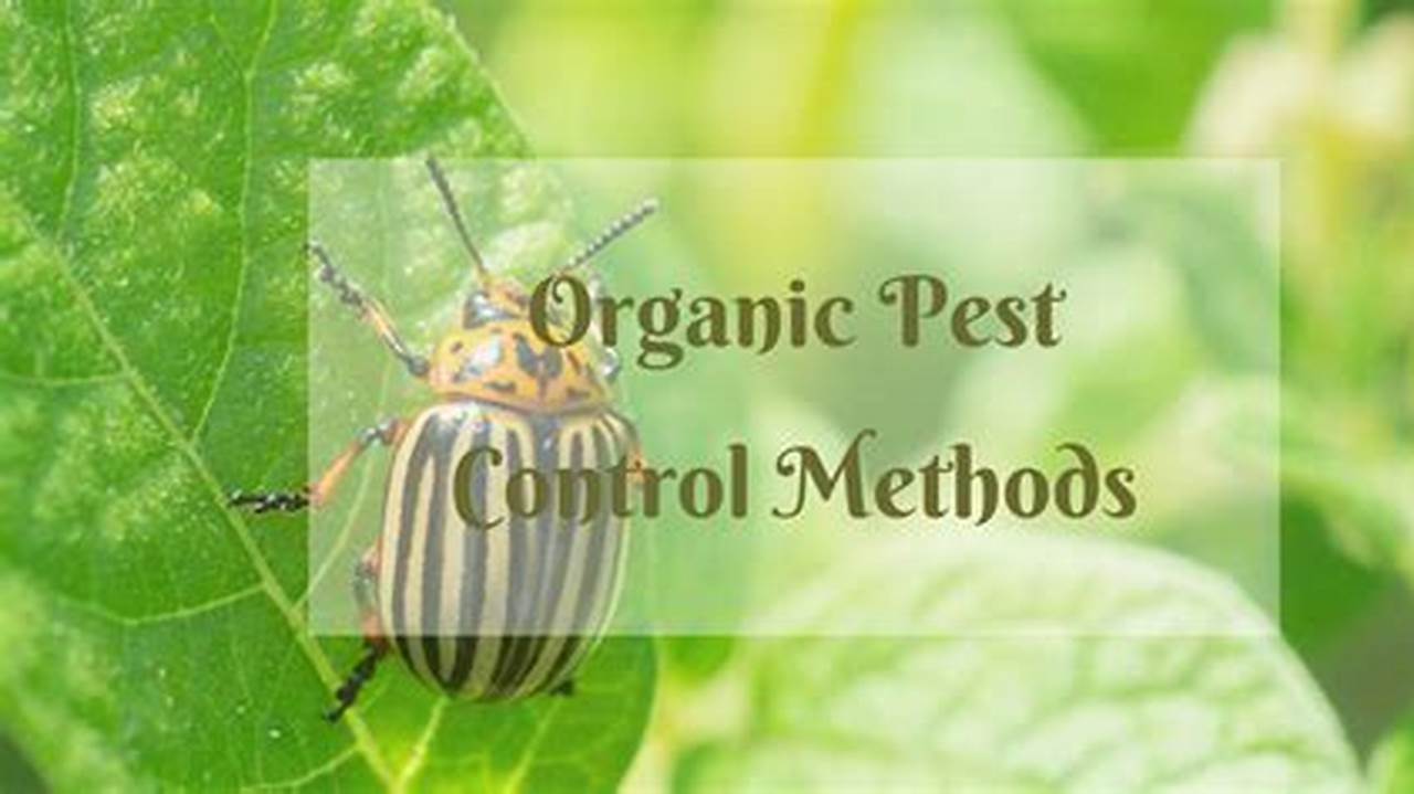Pest Management, Farming Practices