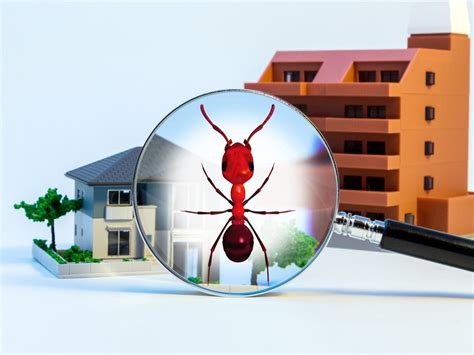 Pest Control Elkhorn