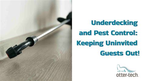 Pest Control Keeping Unwanted Guests Out