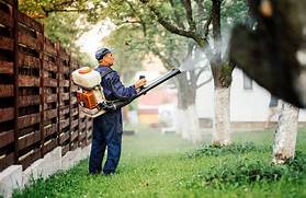 Pest Control for Your Lawn in Powder Springs