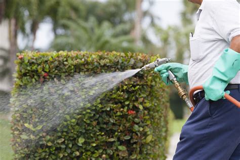 Pest control in lawn care