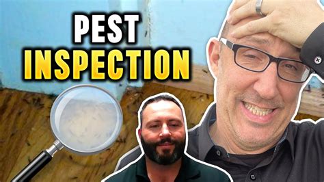 Pest Inspection Sacramento