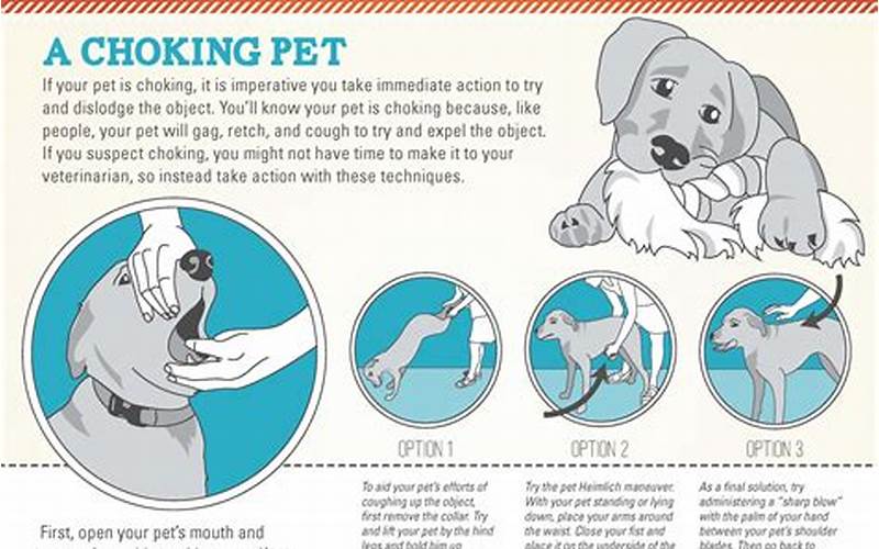 Pet Cpr And First Aid