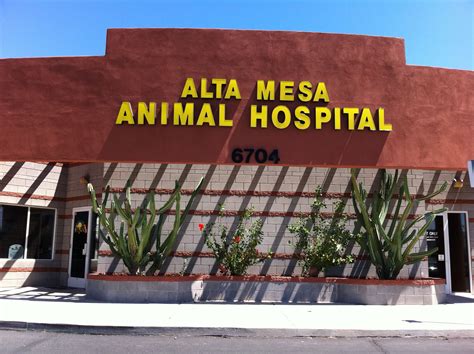 Pet Haven Animal Hospital Mesa Az