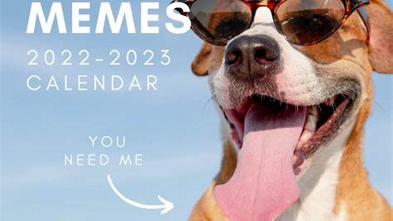 Pet Memes 2024