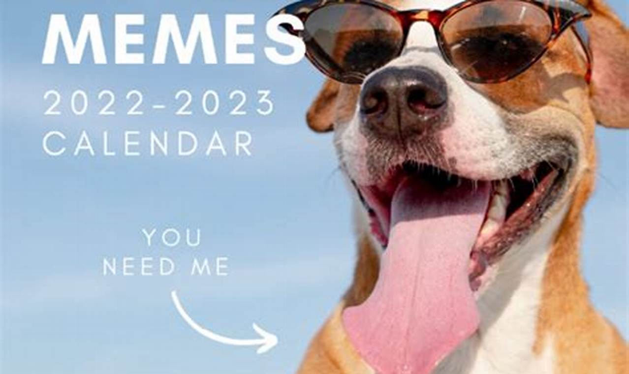 Pet Memes 2024