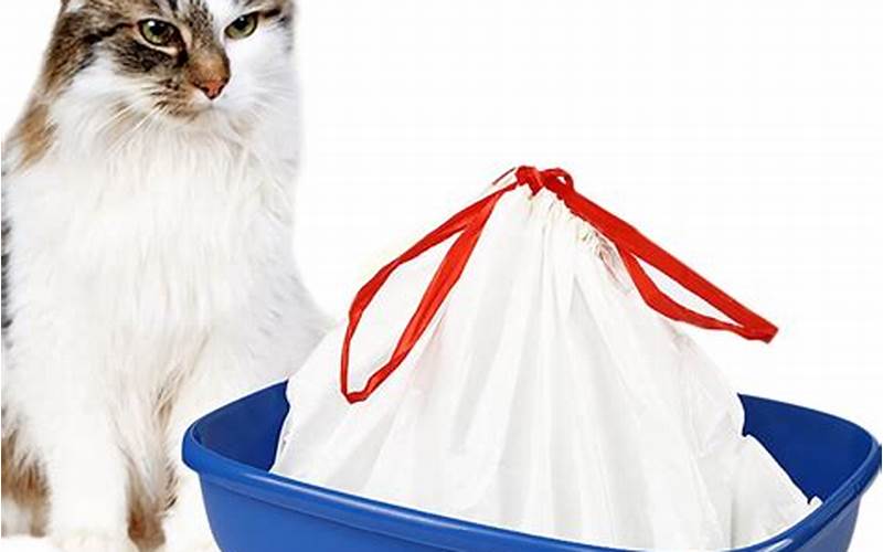 Pet Waste Bags And A Litter Tray