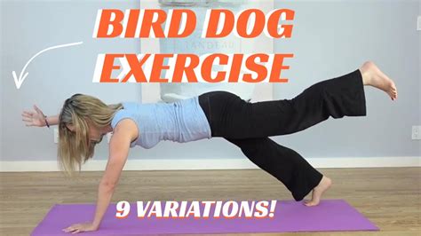 The Bird Dog Exercise A Simple Way To Ease Sciatica Pain Brandon