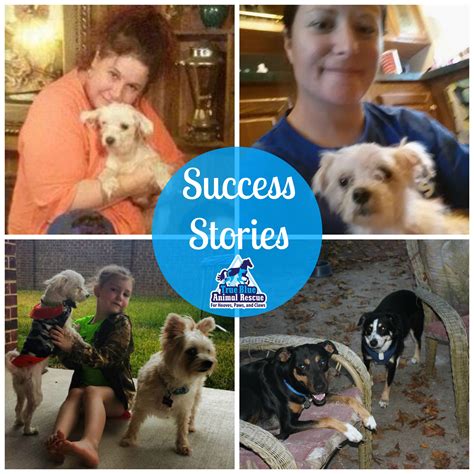 Success Stories Archives Page 14 of 15 4 Paws 4 Life Rescue