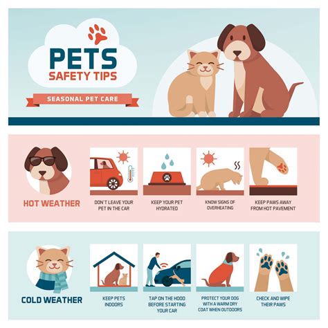 Pet Safety in the Summer Time Outdoor Safety for Pets
