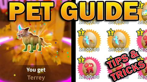 Pet/Banshies Guide in Weapon Fighting Simulator Tips and Tricks 