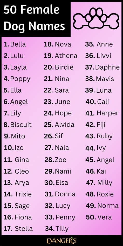 Pet Dog Names Female