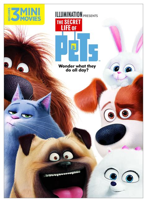 Pet Dvd Animation