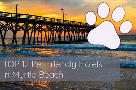 Pet Friendly Hotels In Myrtle Beach