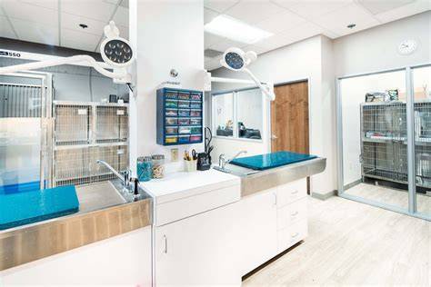Pet Hospital Near Me