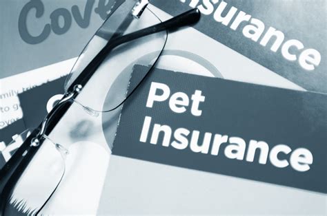 Pet Insurance Az