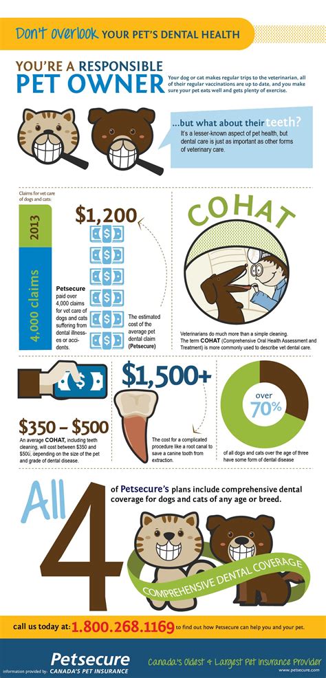 Pet Insurance Cover Dental Work