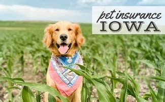 Pet Insurance Iowa