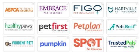 Pet Insurance Top Rated