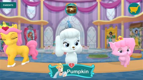 Pet Palace Game