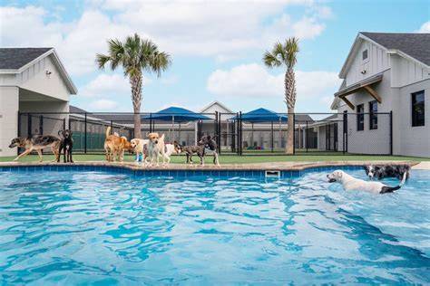 Pet Paradise Gainesville
