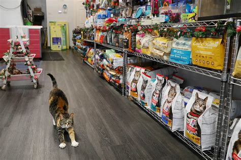 Pet Shops Near Me Open