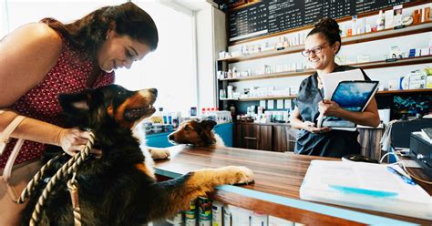Pet Store Financing