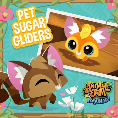 Pet Suger Glider Animal Jam Play Wild