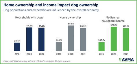 How Millennial pet owners are impacting pet product trends