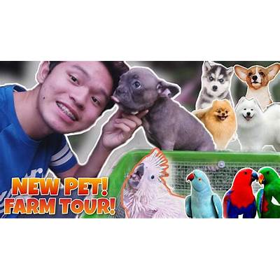 Pet-Farm-Indonesia