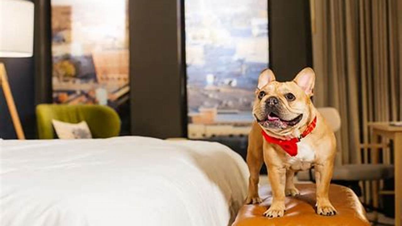 Pet-Friendly Amenities, Pet Friendly Hotel