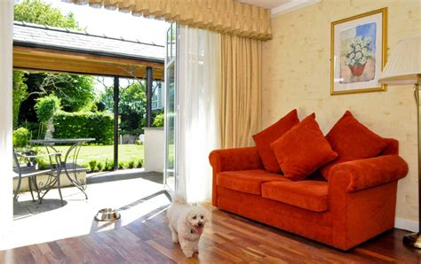 Pet-Friendly Accommodation Tips