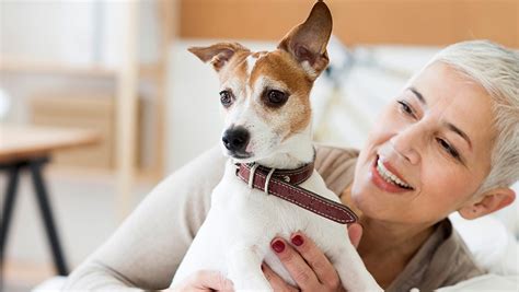 Pet Friendly Assisted Living Facilities and Nursing Homes