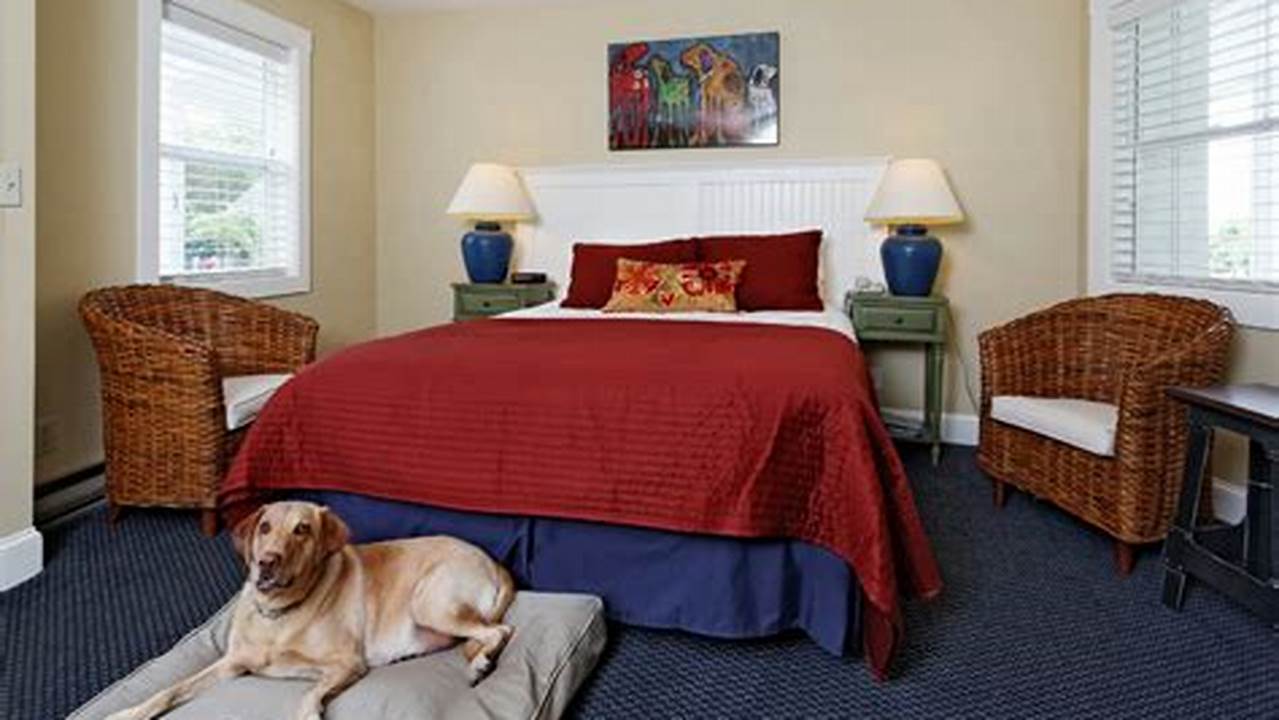 Pet-friendly Rooms, Pet Friendly Hotel