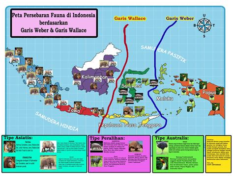 Peta Fauna Indonesia