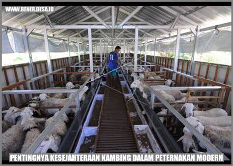 Peternakan