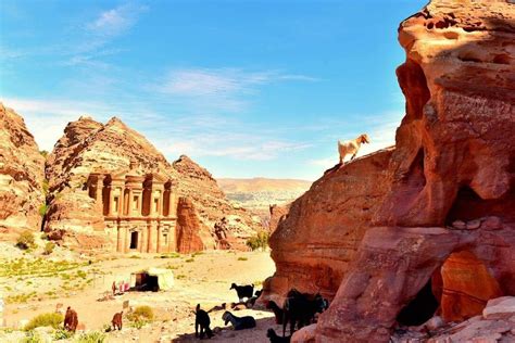 Petra Lunch