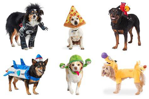 Hilarious Halloween Pictures That Will Make You Laugh