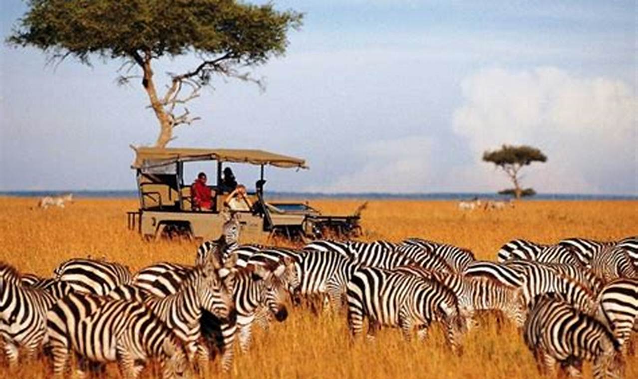 Petualangan Safari: 15 Destinasi Wisata di Afrika untuk Melihat Satwa Liar