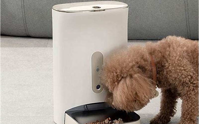 Petwant Automatic Pet Feeder Features